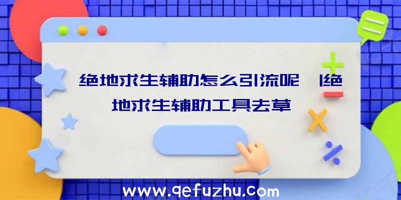 「绝地求生辅助怎么引流呢」|绝地求生辅助工具去草